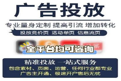 某公司通过竞价SEM优化搜索引擎排名案例